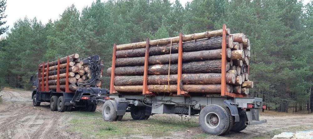 За незаконную перевозку древесины на Кубани задержаны три большегруза