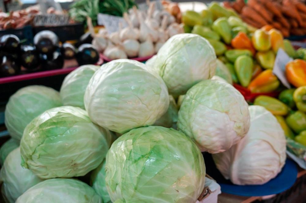 На Кубани собрали более 155 тыс. тонн овощей