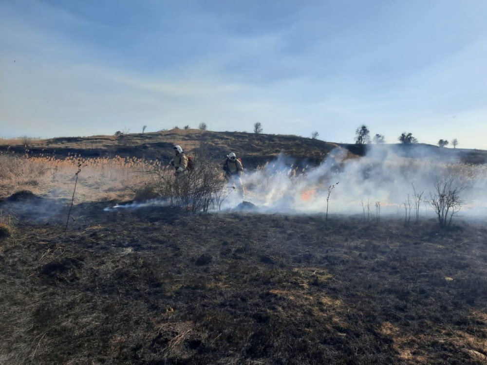 Сразу пять природных пожаров произошло в Краснодарском крае