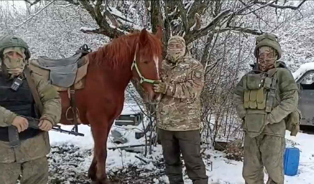 Лошадь передали на фронт казаки Анапы