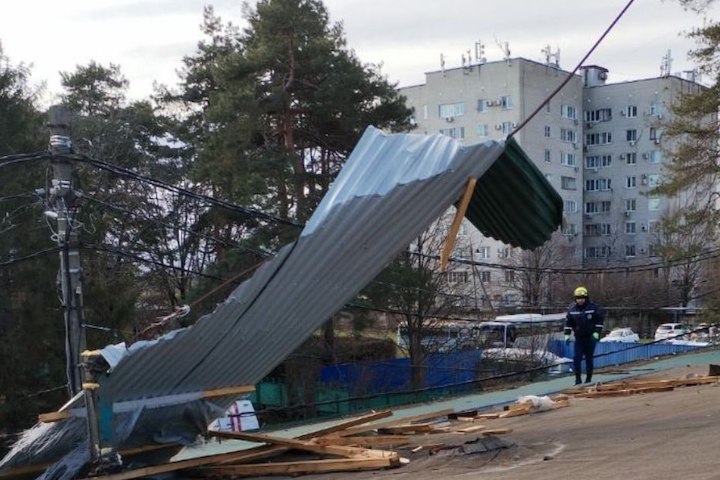 Ветер повредил четыре крыши, десяток деревьев и электросети в Краснодаре