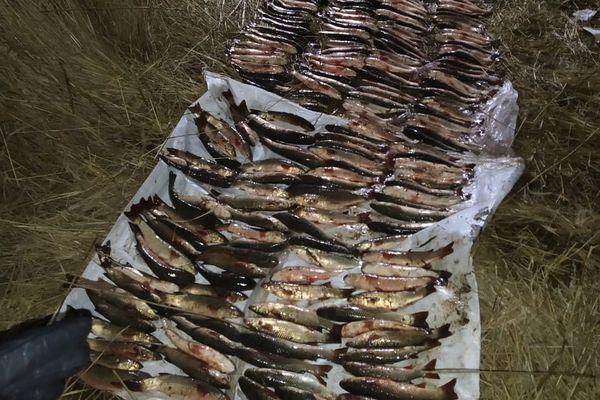Житель Щербиновского района заплатит более 1 млн рублей за незаконную рыбалку