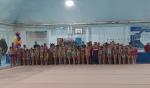 Открытый турнир по художественной гимнастике «Темрючанка»