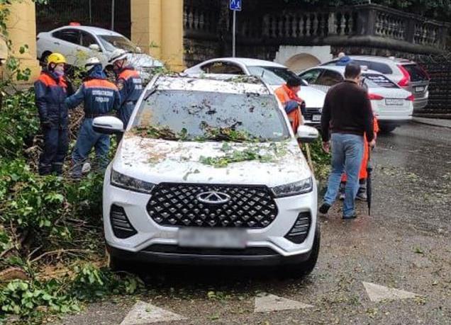 В Сочи дерево упало на автомобиль и водителю потребовалась помощь спасателей