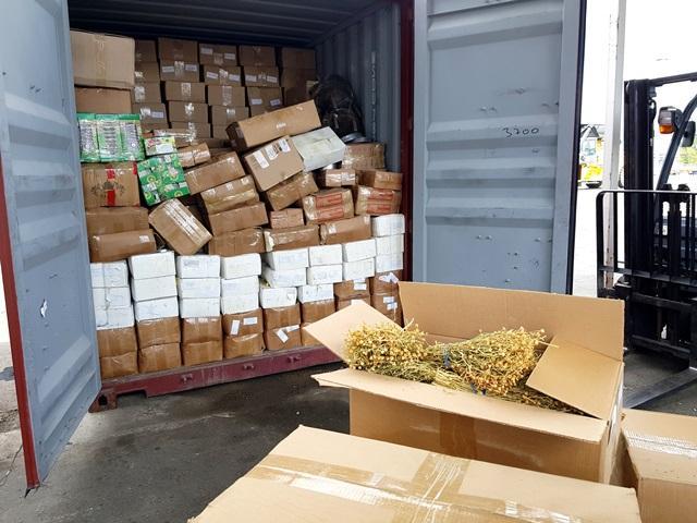 В Новороссийке изъяли тонну наркосодержащей травы в контейнере из Узбекистана