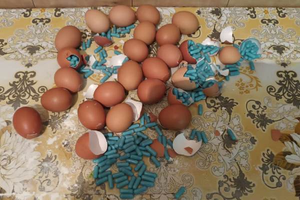 На Кубани пытались передать в колонию яйца, напичканные капсулами с сильнодействующими веществами