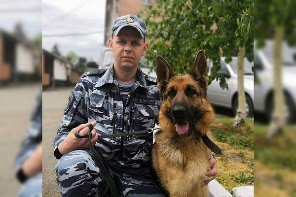 Теплицу с марихуаной помогла найти служебная собака