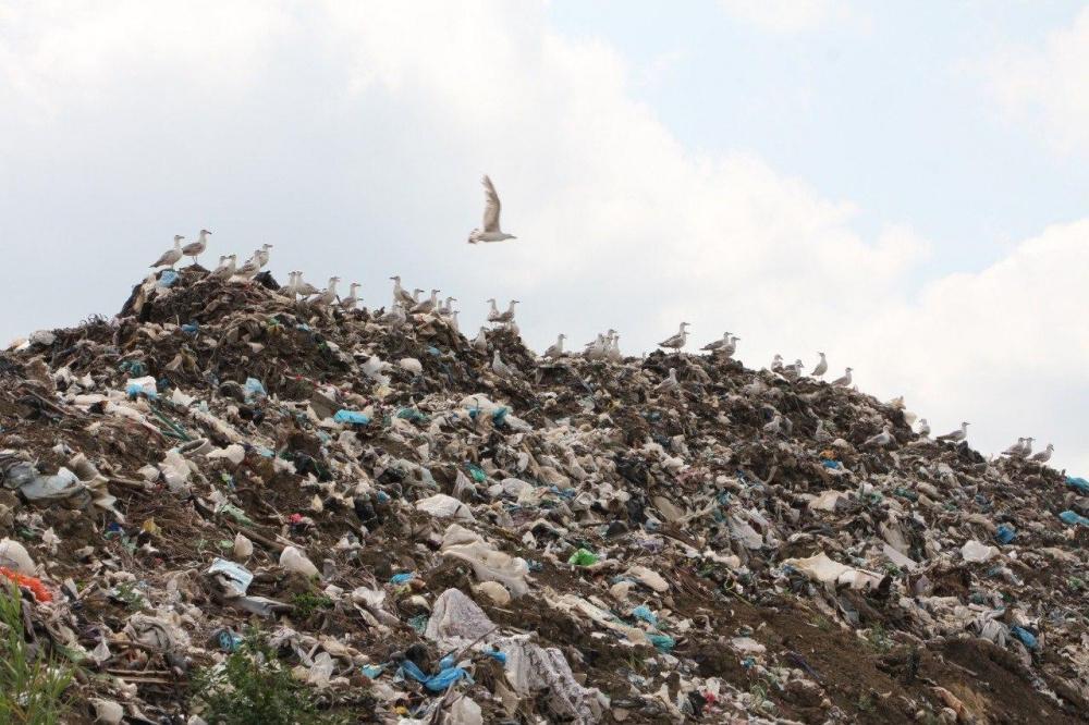 Краснодарский краевой суд признал нарушения в работе мусорного полигона в Полтавской