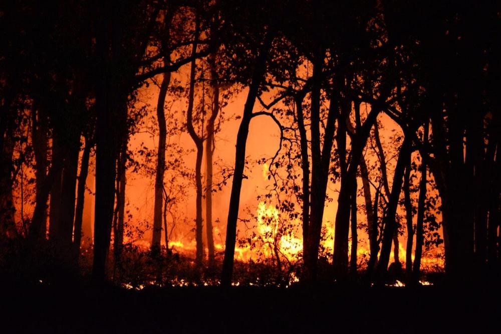 В Краснодарском крае ожидается чрезвычайная пожароопасность 5 класса