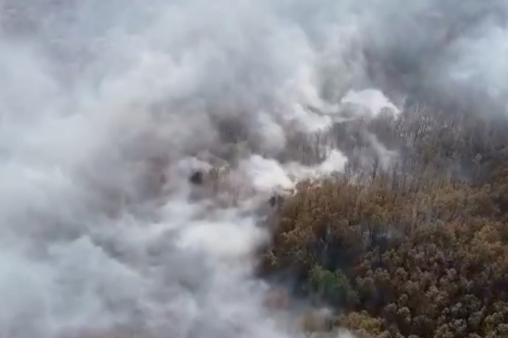 Лесной пожар в Северском районе Кубани локализован на площади почти 15 га
