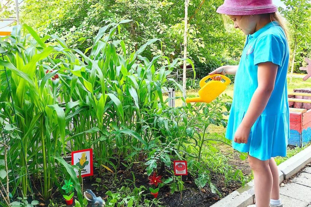 Огороды для малышей создали в десятке детсадов Новороссийска
