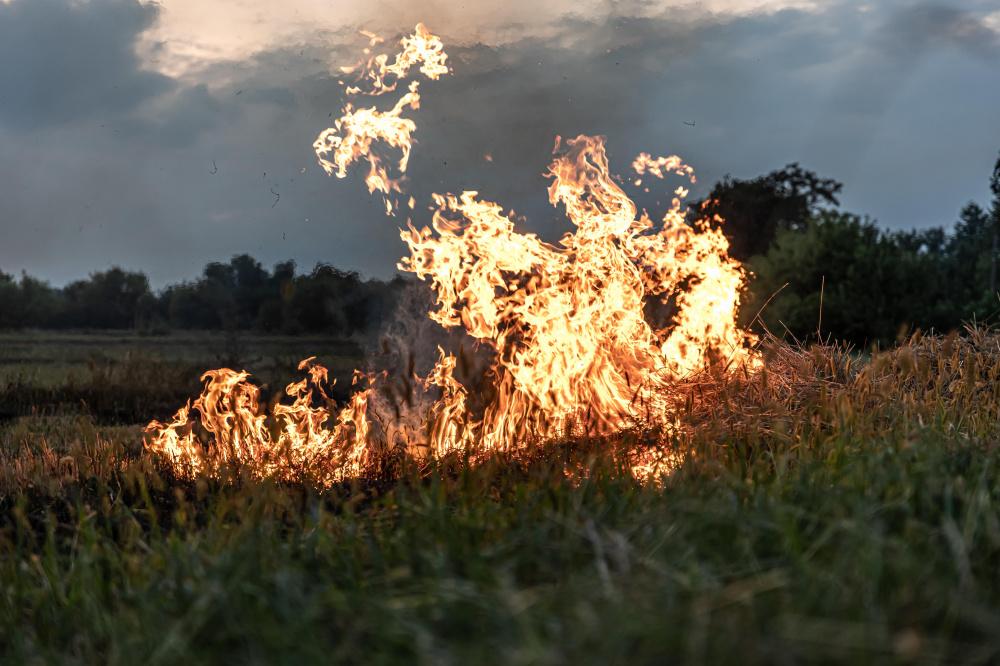 Чрезвычайный уровень пожароопасности сохраняется местами на Кубани