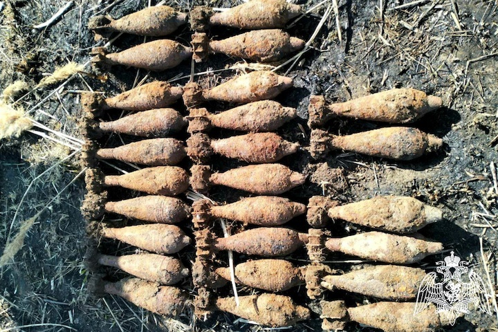 Житель Кубани наткнулся на склад боеприпасов во время возведения забора