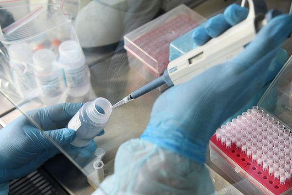 Еще плюс 72: число заболевших коронавирусом на Кубани продолжает падать