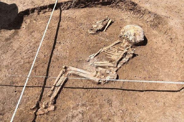 Рабочие обнаружили древнее захоронение в Динском районе