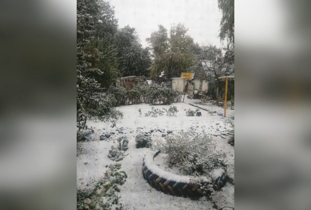 Зима близко: первый снег выпал на Кубани