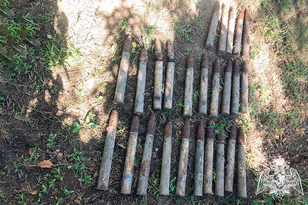 Житель Крымского района нашел во дворе дома боеприпасы