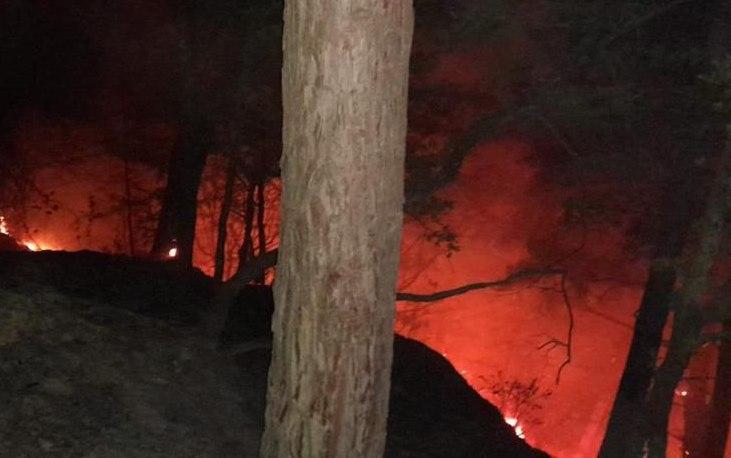 Пожарные всю ночь тушили лес в Туапсинском районе