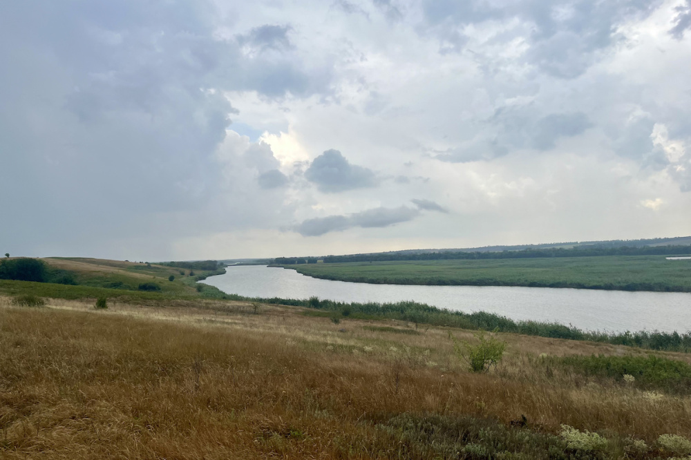 Степь в Новопокровском районе Кубани получит статус особо охраняемой природной территории