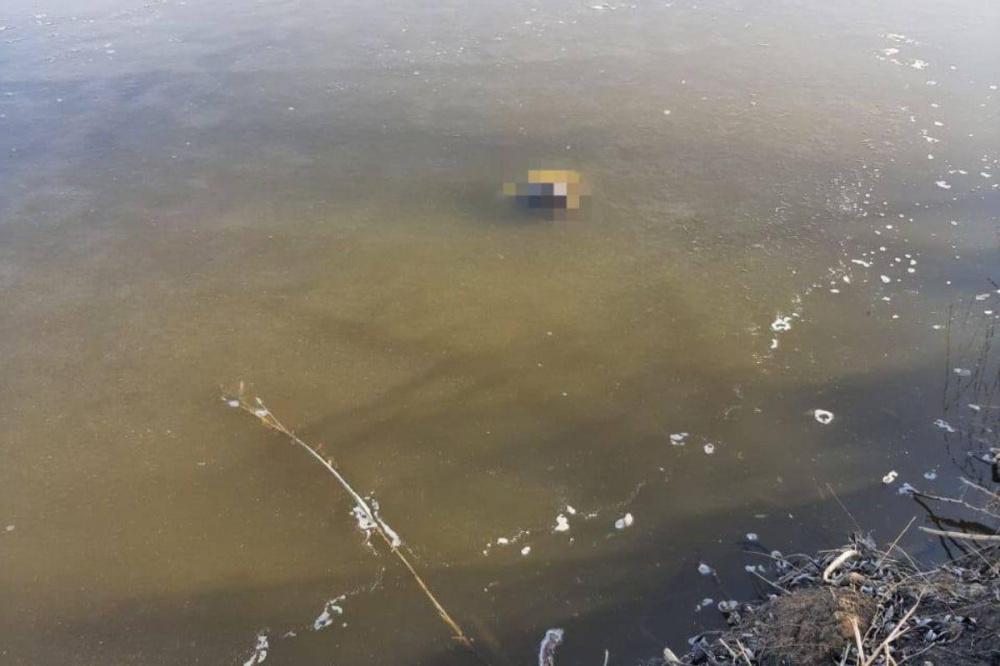 На Кубани из реки выловили тело 35-летнего мужчины