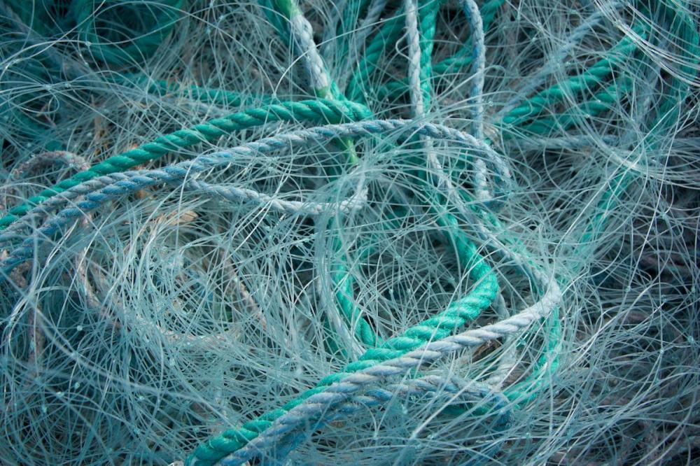 На Кубани осудили браконьеров, которые выловили сетями 160 рыб разных пород