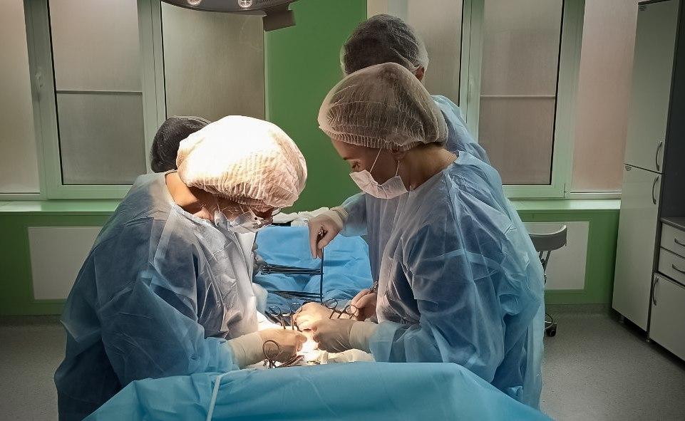 Хирурги Краснодара удалили 65-летней пациентке гигантскую грыжу