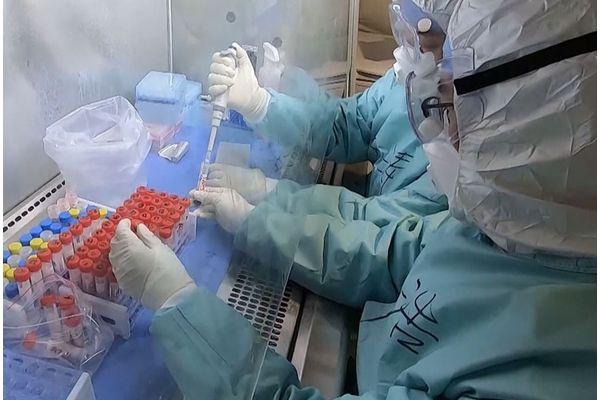 Количество заболевших коронавирусом на Кубани пока не увеличивается