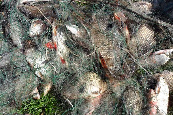 Штраф заплатит житель Щербиновского района за нелегальную рыбалку