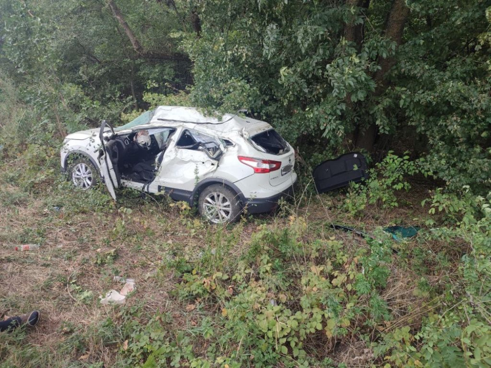 Водитель Nissan влетел в дерево и погиб на месте ДТП в Усть-Лабинском районе