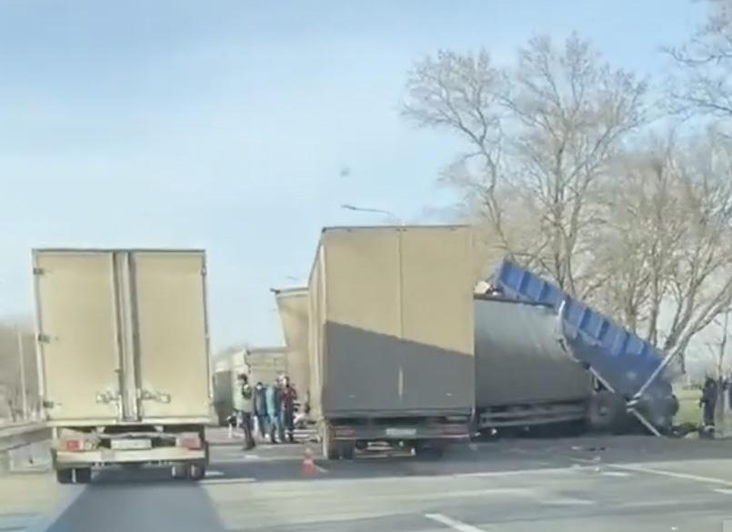 Три грузовика столкнулись на Кубани, один из водителей погиб