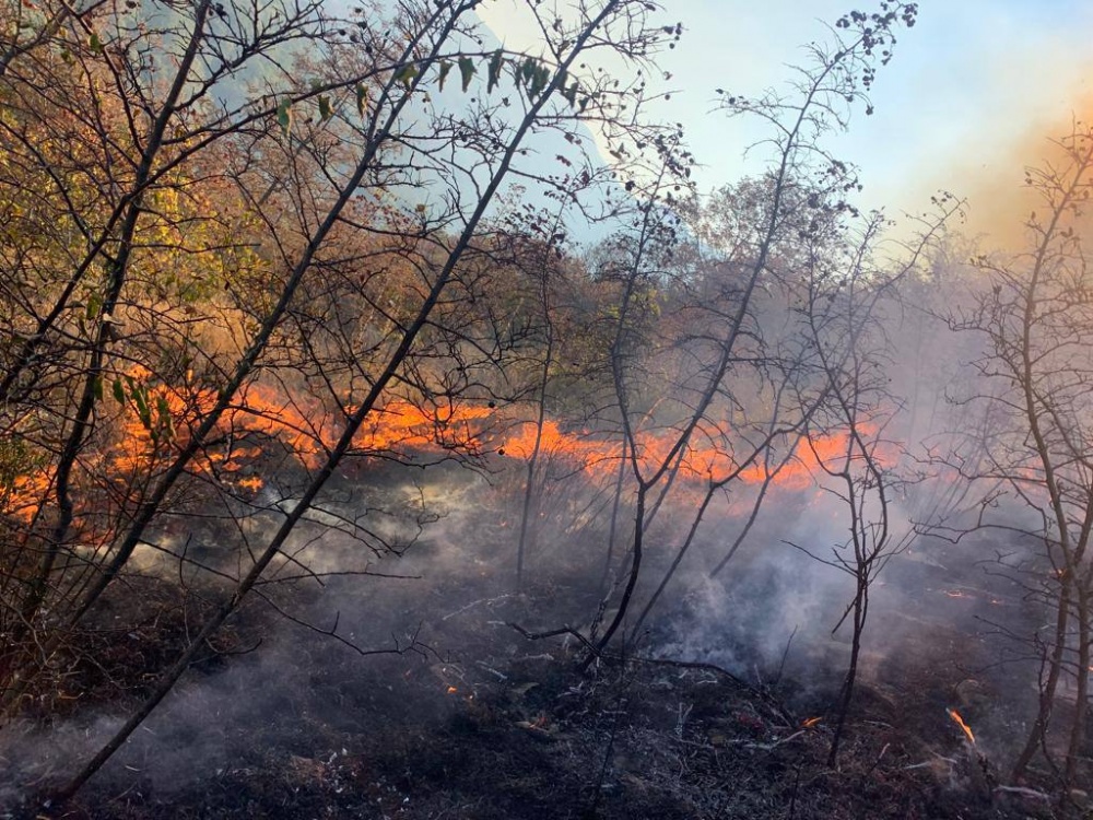 В Геленджике горят 12 гектаров леса