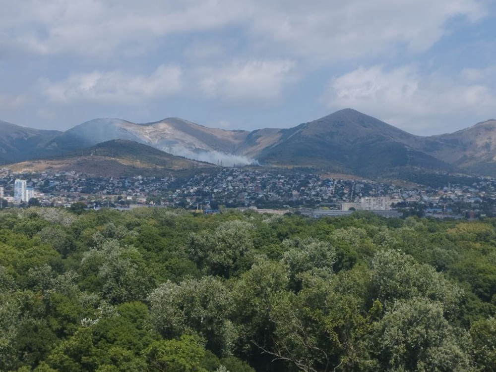 В Новороссийске загорелся лес