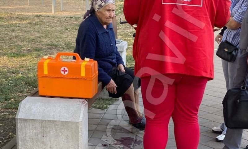 Стая бездомных собак напала на пенсионерку в сквере Армавира