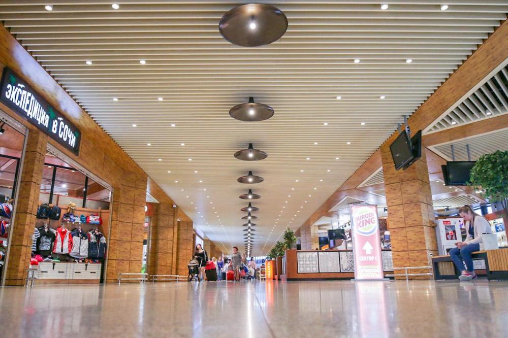 Роспотребнадзор открыл горячую линию для пассажиров аэропорта Сочи
