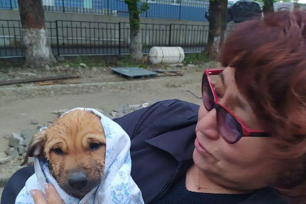 В Новороссийске спасли щенка на пр. Ленина
