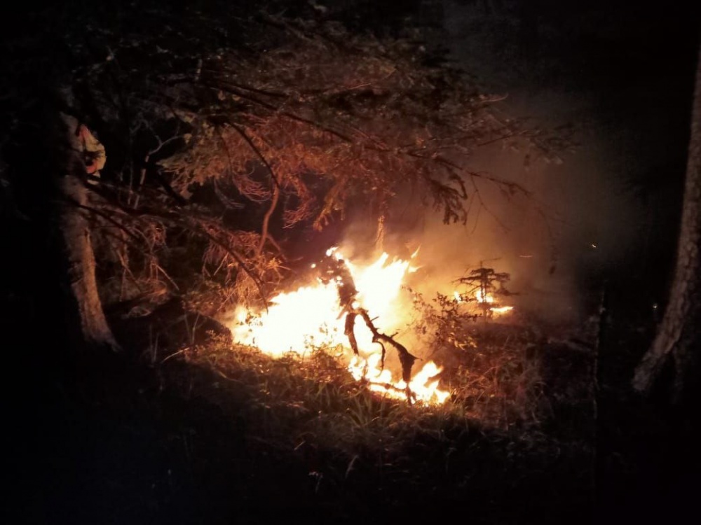 Лесной пожар в районе Мезмая в Апшеронском районе тушили всю ночь