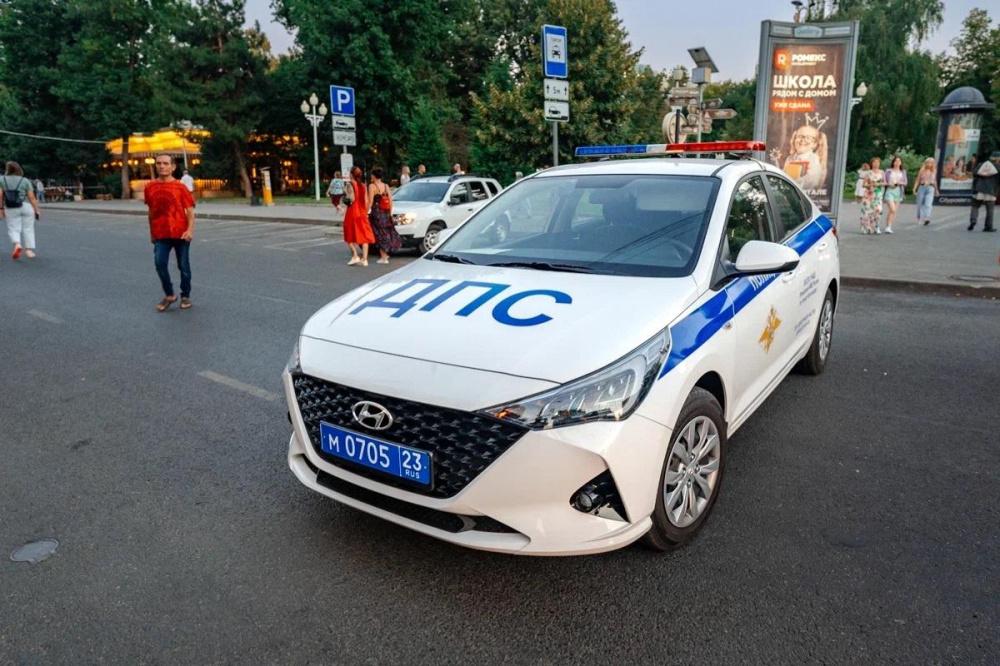 Полиция установила водителя, который сбил диких кабанов под Гулькевичами