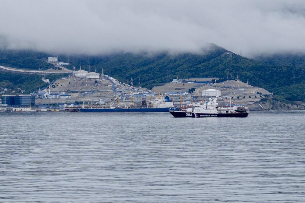 Импортный говяжий желатин вернули из порта Новороссийска в Турцию