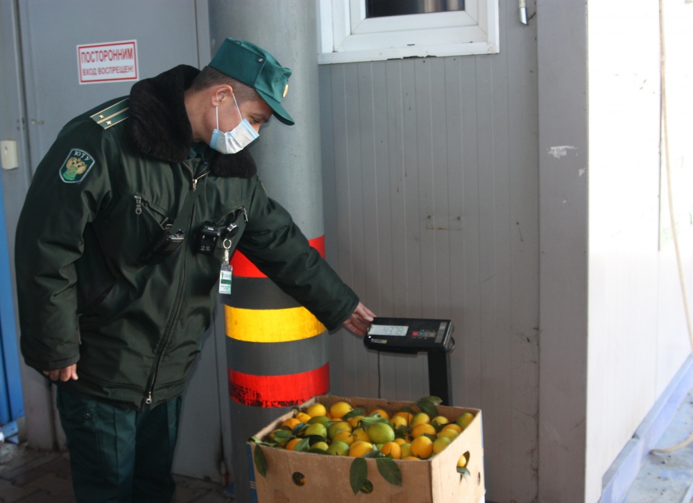 Первые 7 тонн мандаринов ввезли из Абхазии в Россию