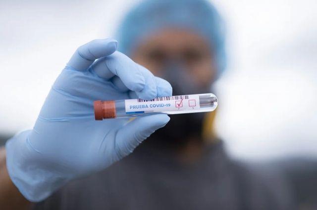 2 декабря выявлено 167 новых случаев коронавируса в Краснодарском крае