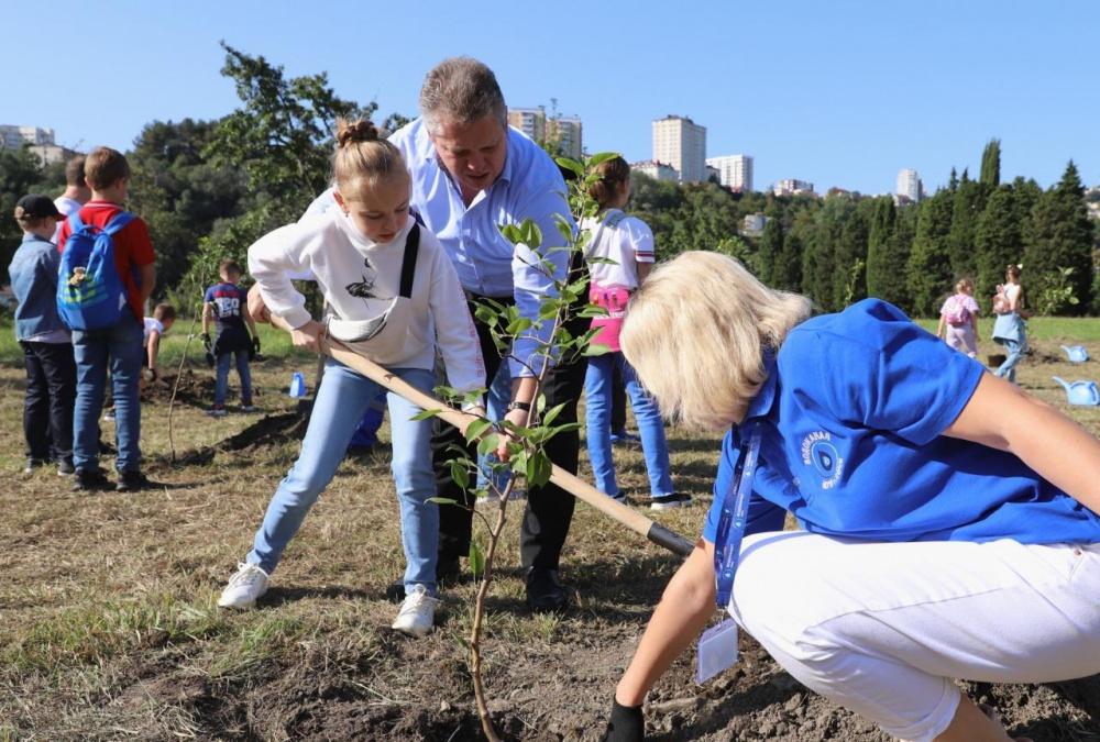 В Сочи высадят около 600 фруктовых деревьев 