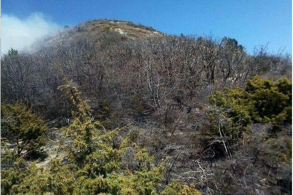 Крупный природный пожар произошел в Новороссийске