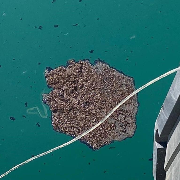 В акватории морпорта Сочи обнаружены нефтяные пятна