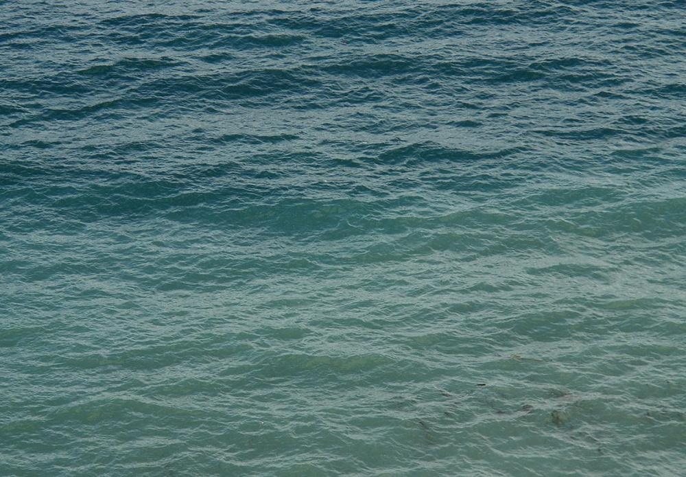 Морская вода у побережья Кубани прогрелась до 27 градусов 