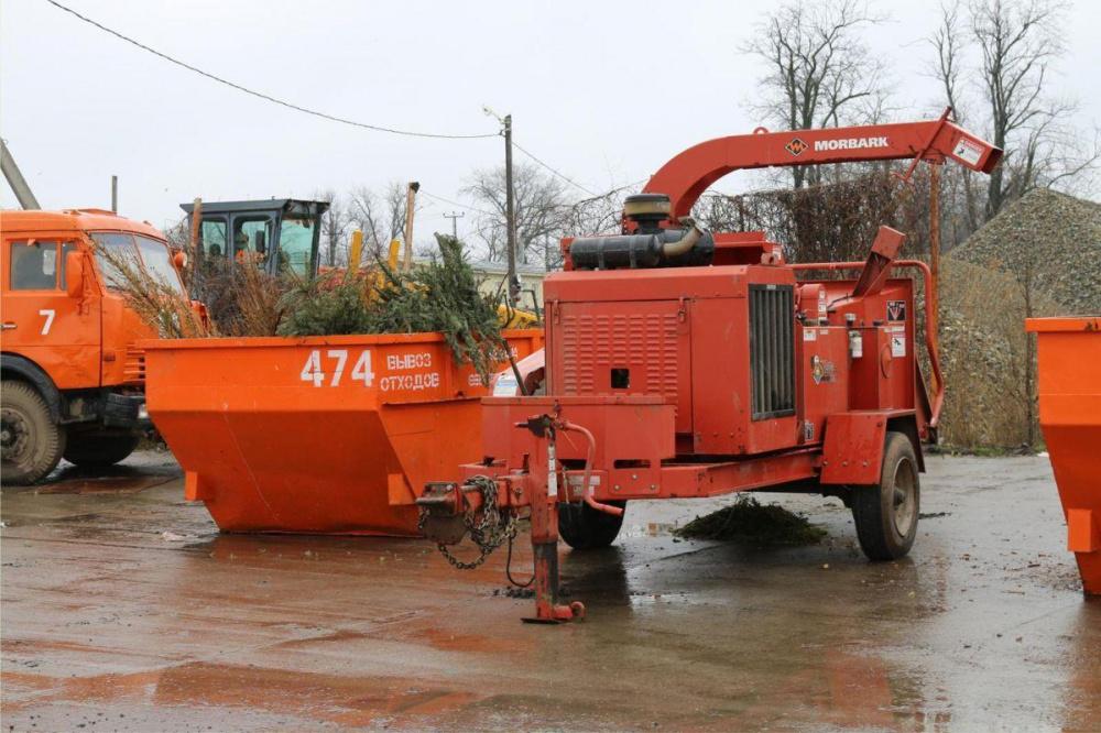 Жители Краснодара могут отправить елки на переработку