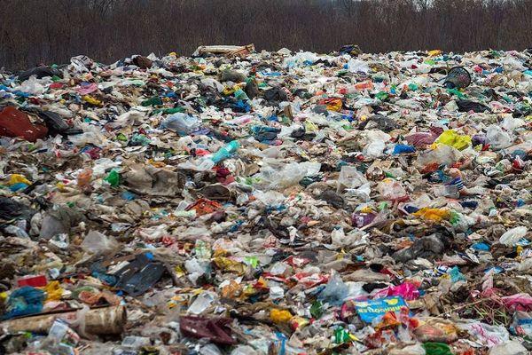 Жители Белореченска начали сбор подписей под наказом депутатам остановить развитие мусорного полигона