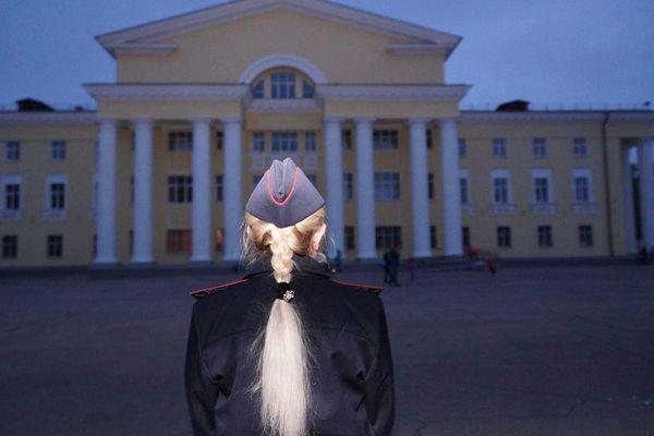 Две женщины-полицейские устроили драку в здании ГИБДД в Краснодарском крае