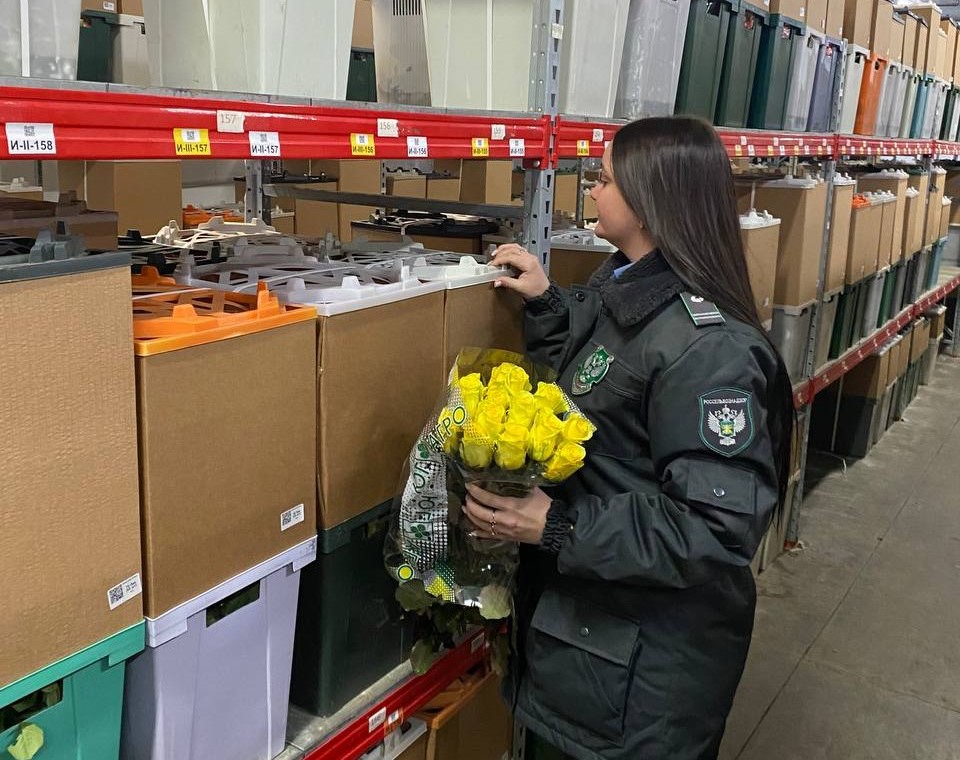 Кубань отправила более 1,6 млн штук цветов по всей России к 8 марта