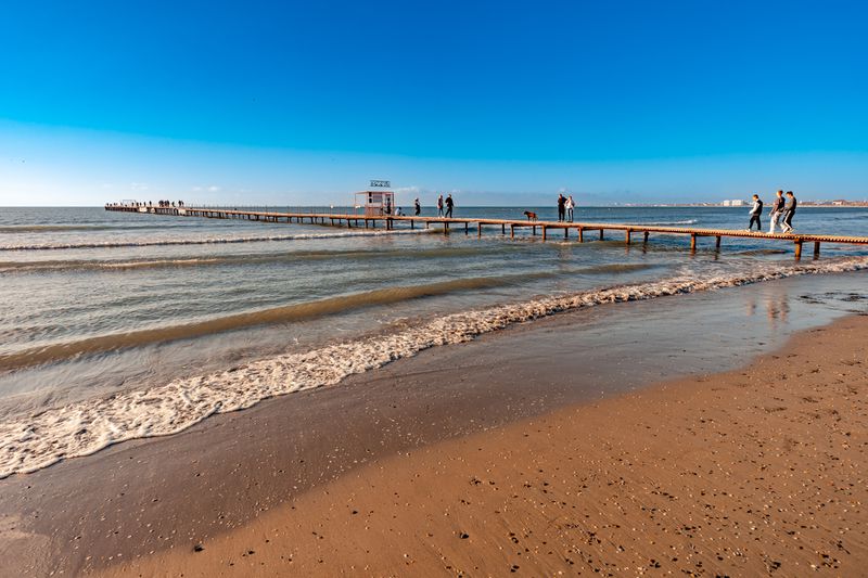 Прокуратура устанавливает причины мора дельфинов в Анапе