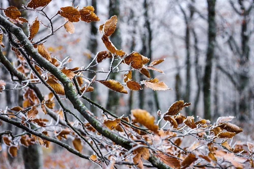 Морозы и штормовой ветер обещают в Краснодарском крае на Рождество